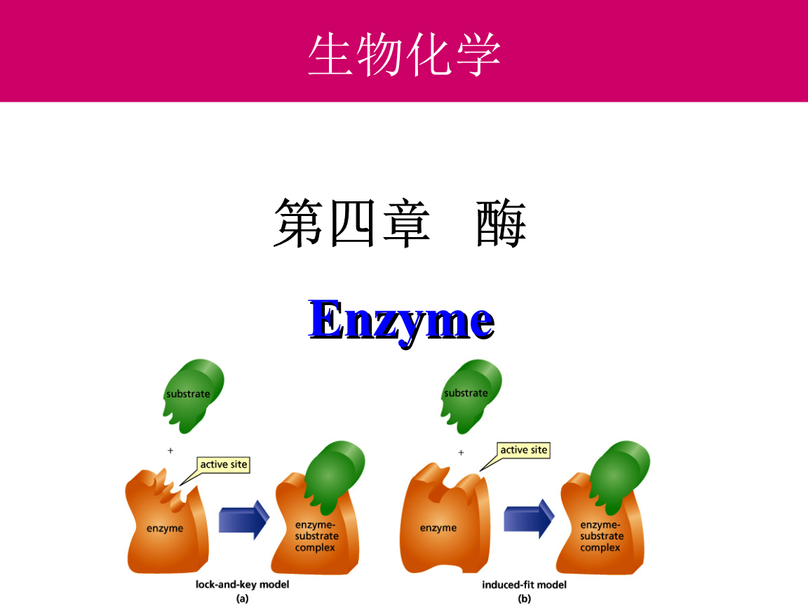 含硒肽的产品