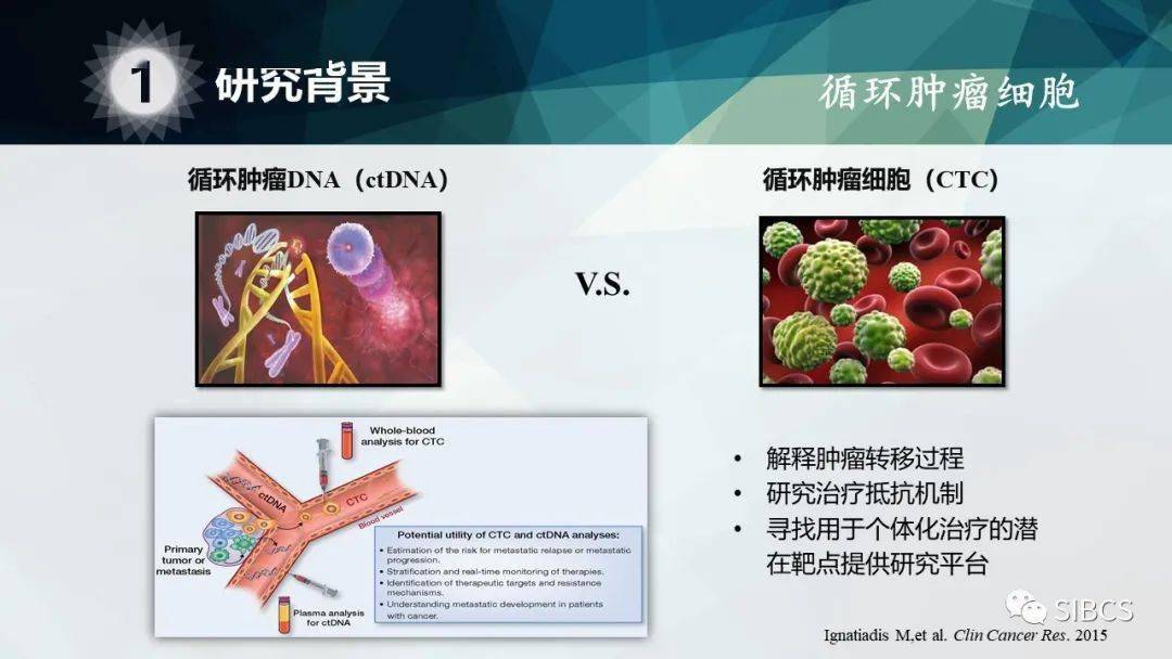 硒维康的好处