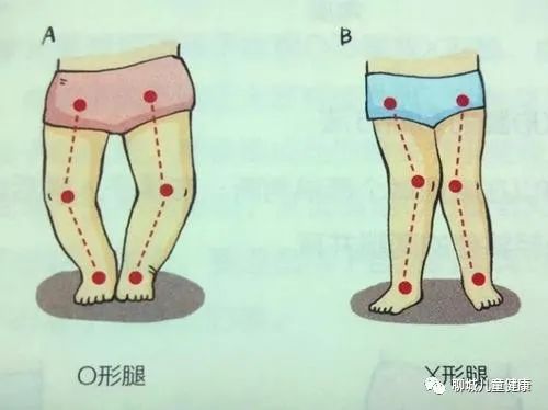 成人补钙什么牌子最好