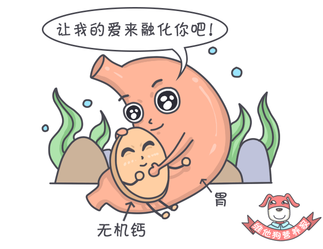 吃什么东西最补钙