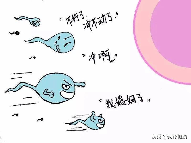 锌硒宝对手淫