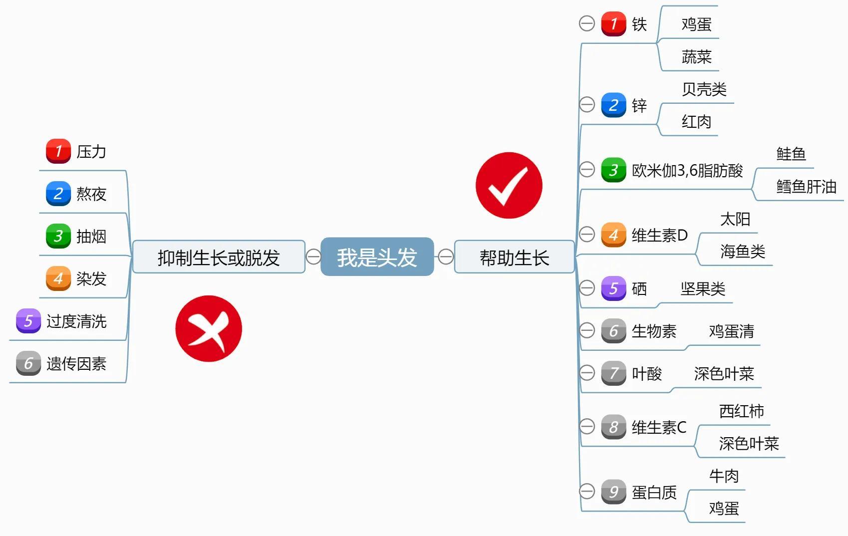 锌硒宝片生发