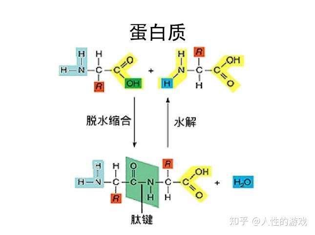 补钠原则