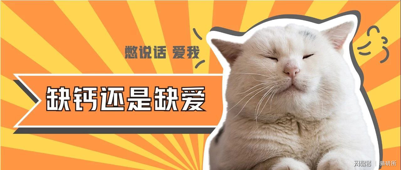 猫吃什么补钙