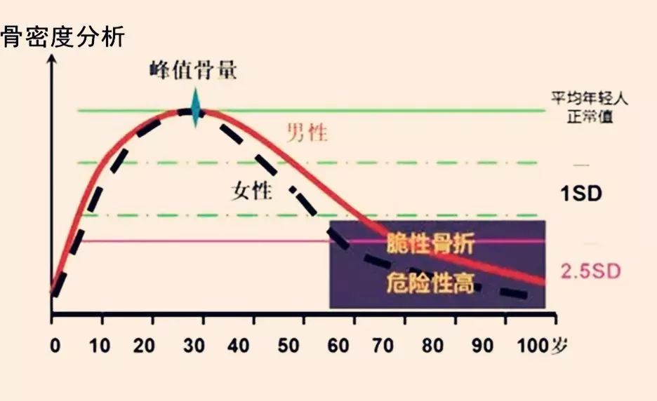 40岁需要补钙吗