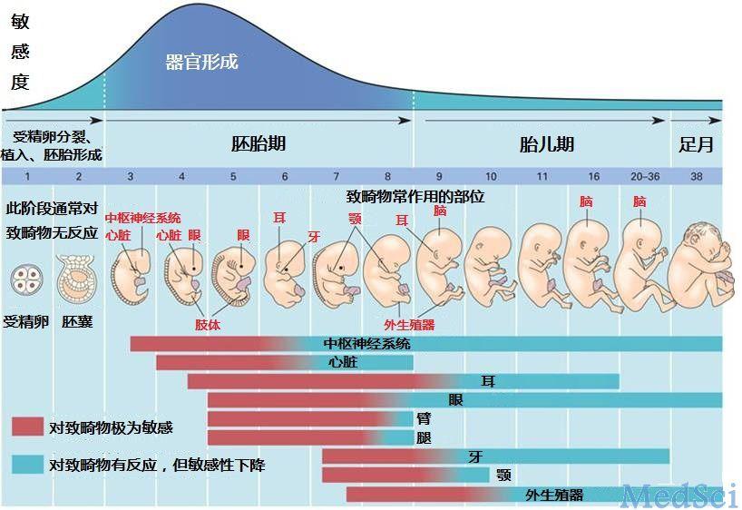 锌硒宝对孕妇