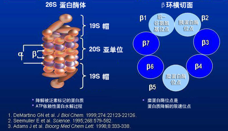 锌硒宝含碘吗