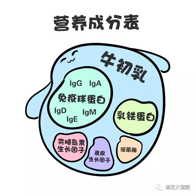 吃什么能补铁