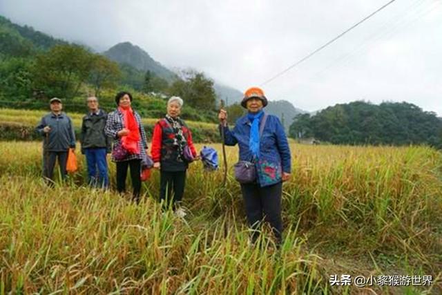 中国三大富硒村