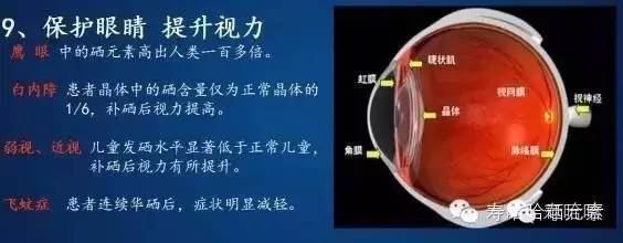 硒可以随便补吗