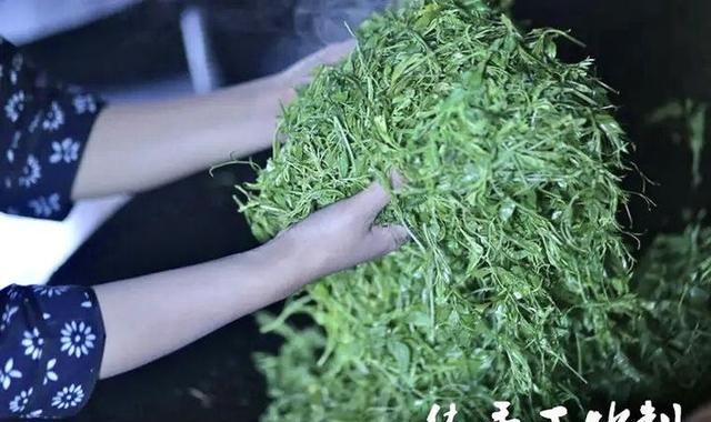 喝藤茶有哪些好处？在哪能买到正宗来凤藤茶？