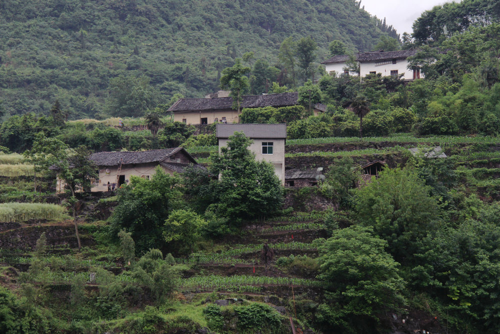 石台富硒茶价格