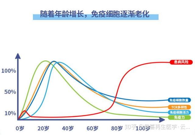 怀孕几个月补硒