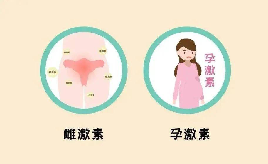 女生补锌会增加雌性激素吗