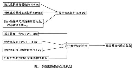 孕妇补铁食谱大全