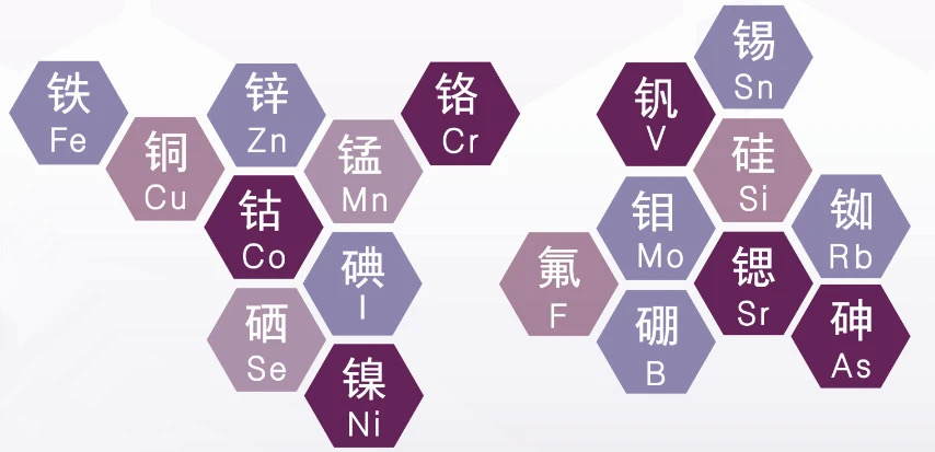 化验微量元素需要空腹吗