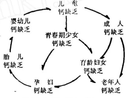 儿童补老年硒锌