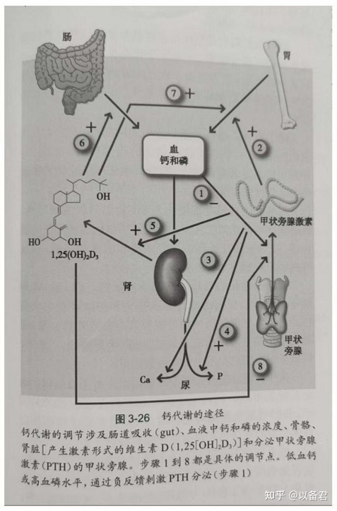 孕妇要补硒论文