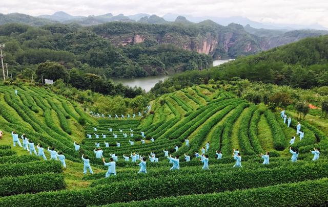 常熟锌硒茶补硒