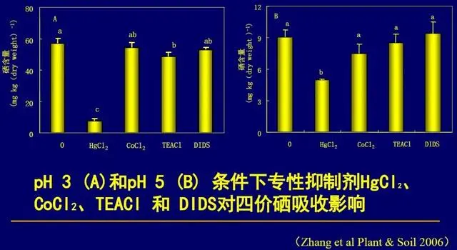 硒代蛋氨酸补硒