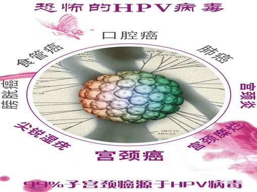 hiv补硒多少