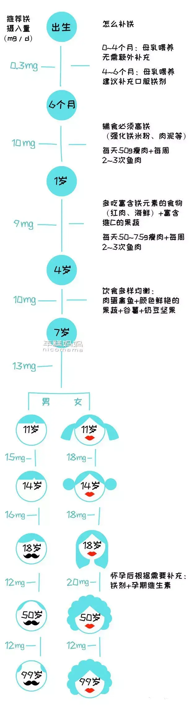 不缺铁可以补铁吗