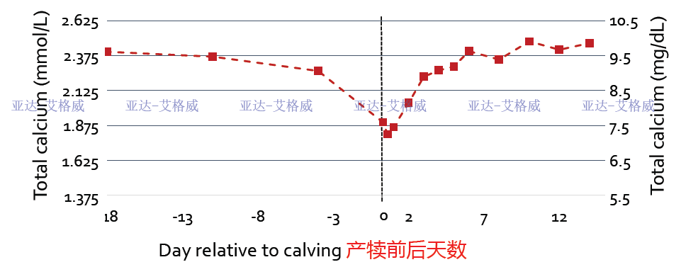 低钙血症如何补钙