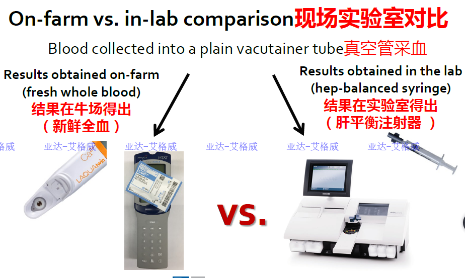 低钙血症如何补钙