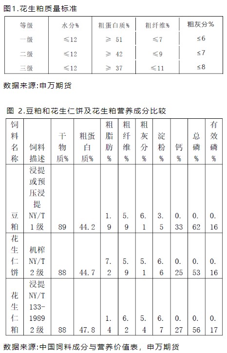 花生补钙吗