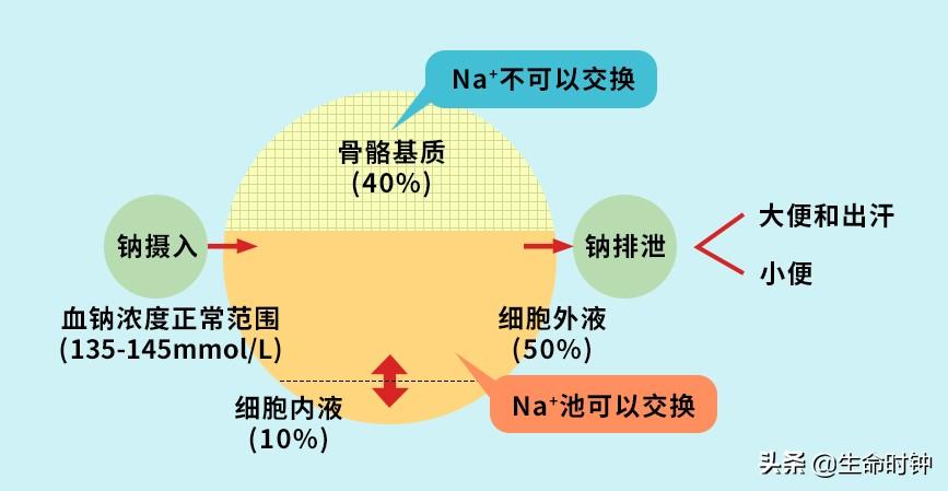 低钠低氯血症补液原则