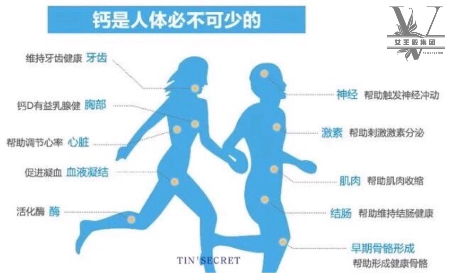 成年人需要补钙吗