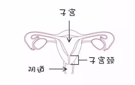 补硒对抗hpv