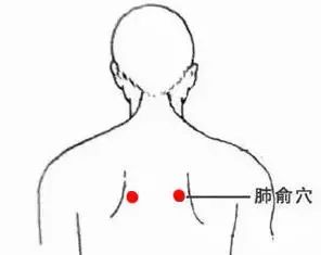 什么穴位能补硒