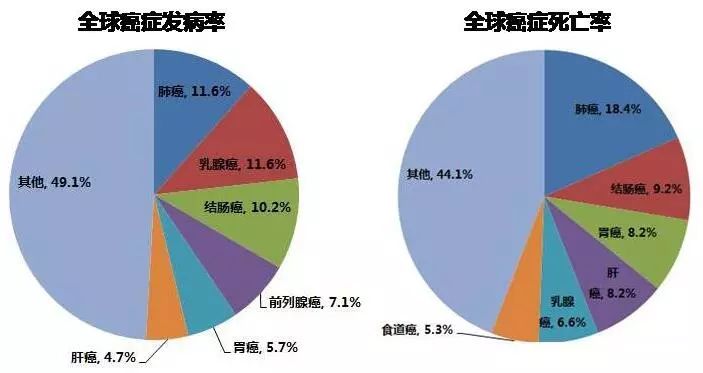 肿瘤患者补硒量