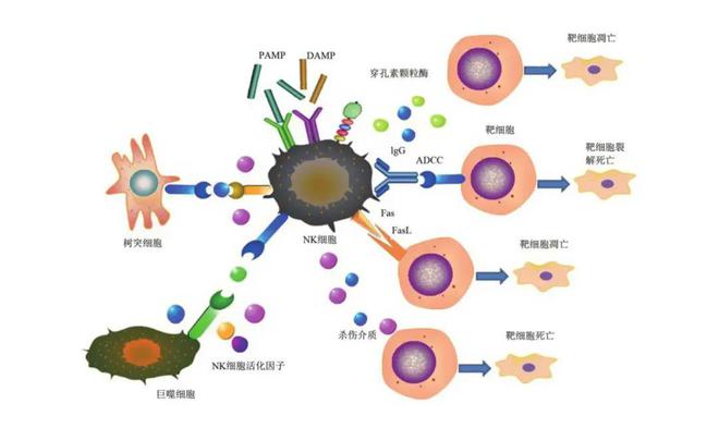 口腔溃疡 补硒