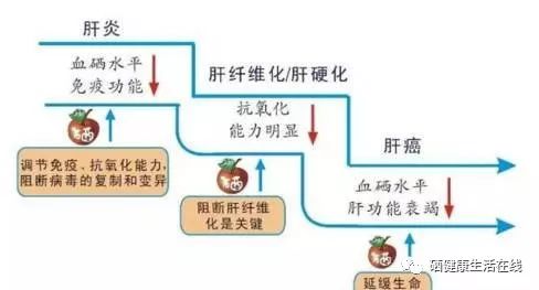 补硒不得眼病吗