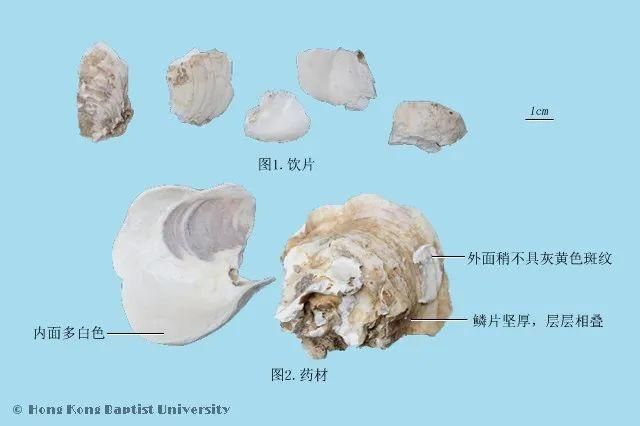 喝龙牡壮骨颗粒还需要补钙吗