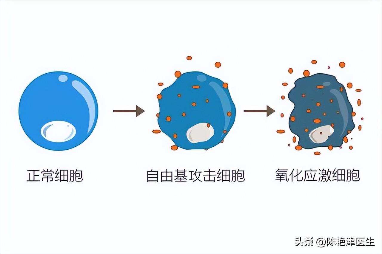 缺硒怎么补最好