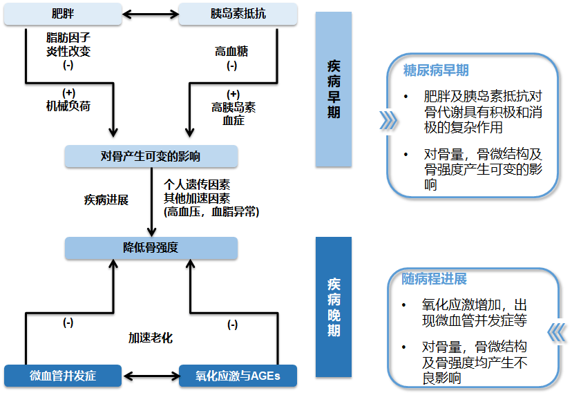 补硒有哪些好处