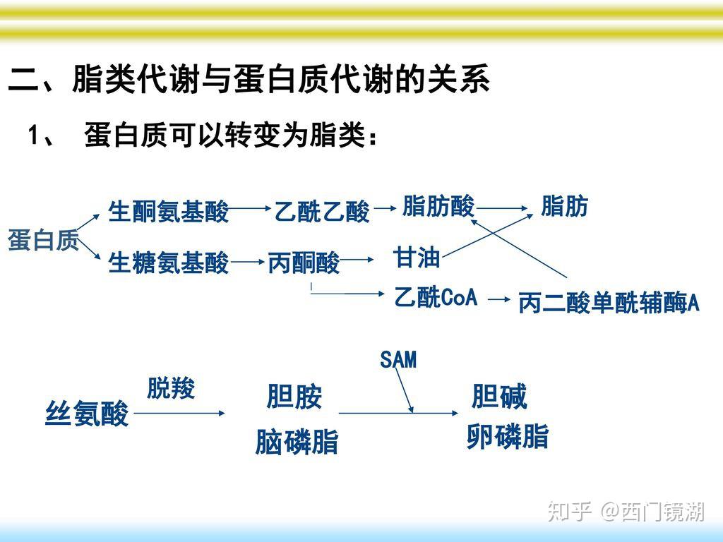 补硒会影响血脂