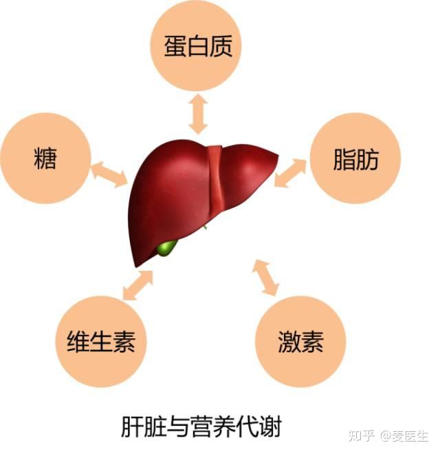 补硒素 眼睛肿