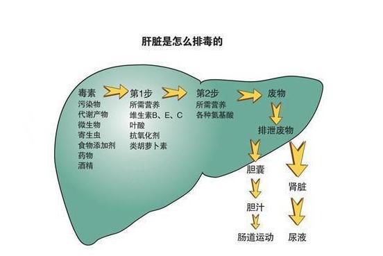 补硒素 眼睛肿