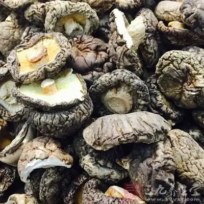 蘑菇一直以来就是具有抗癌效果的食品，其中最突出的是香菇