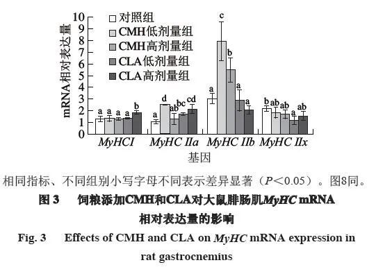 怎么给母猪补硒