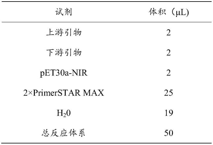 怎么给母猪补硒