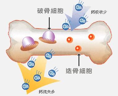 荨麻疹为什么要补钙