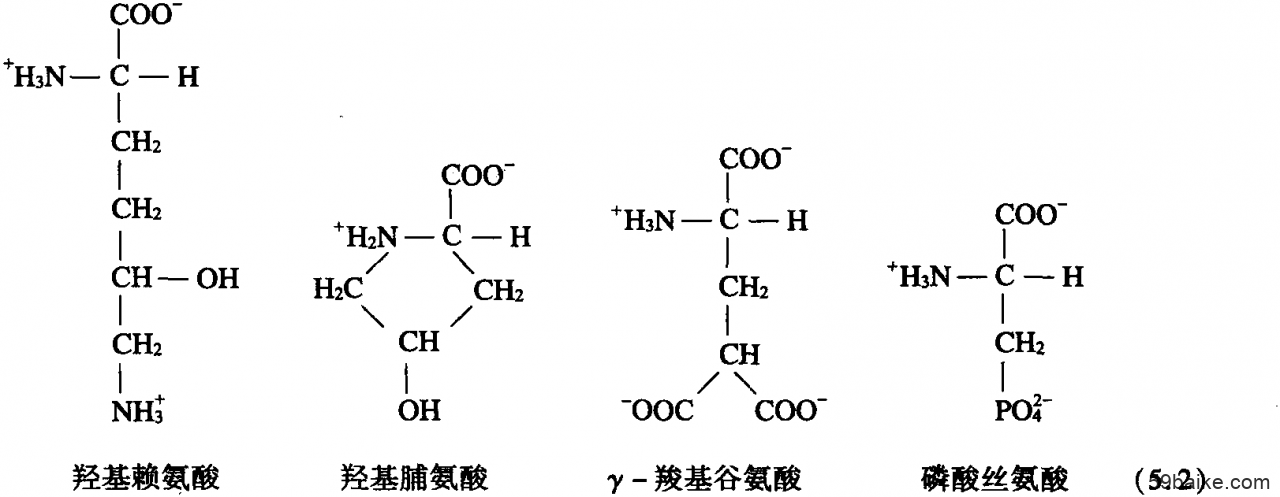 动物补硒的作用