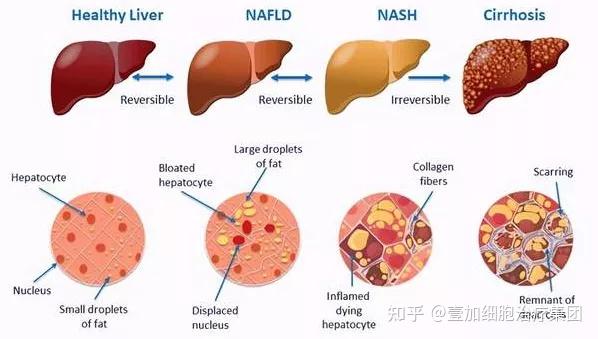 补硒对身体好吗