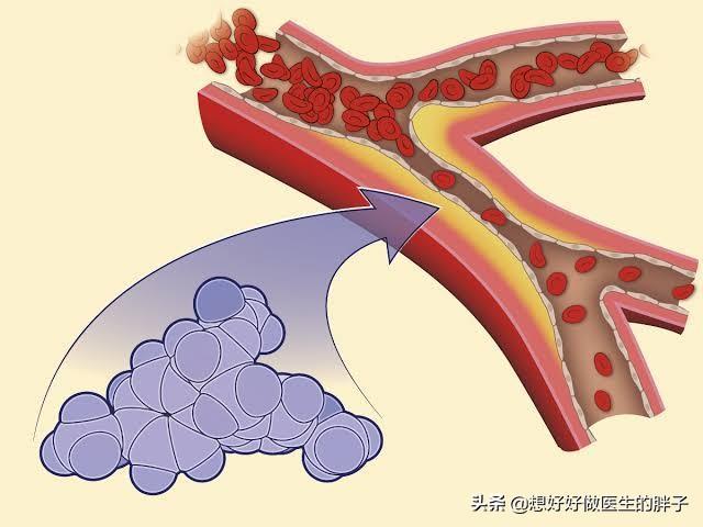 喝水补硒科学吗