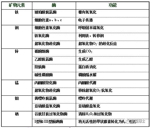 如何选购硒补剂